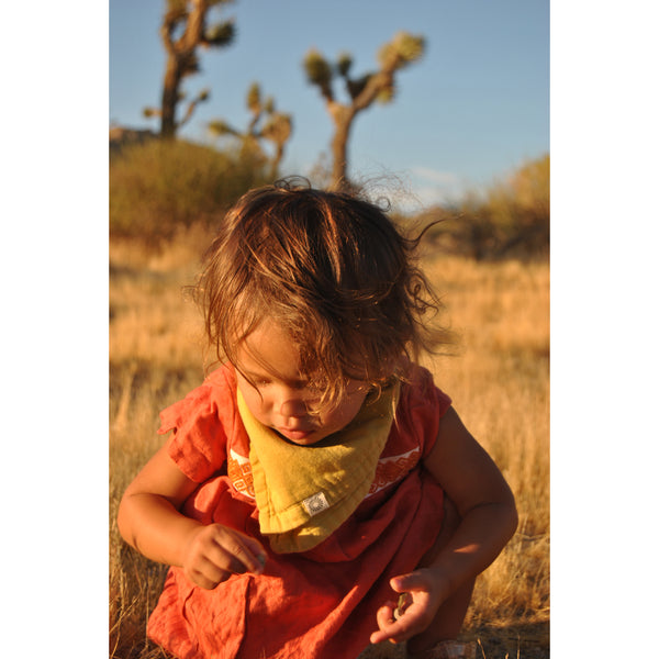 Organic Baby Bandana Bib – Single Scarf Bib