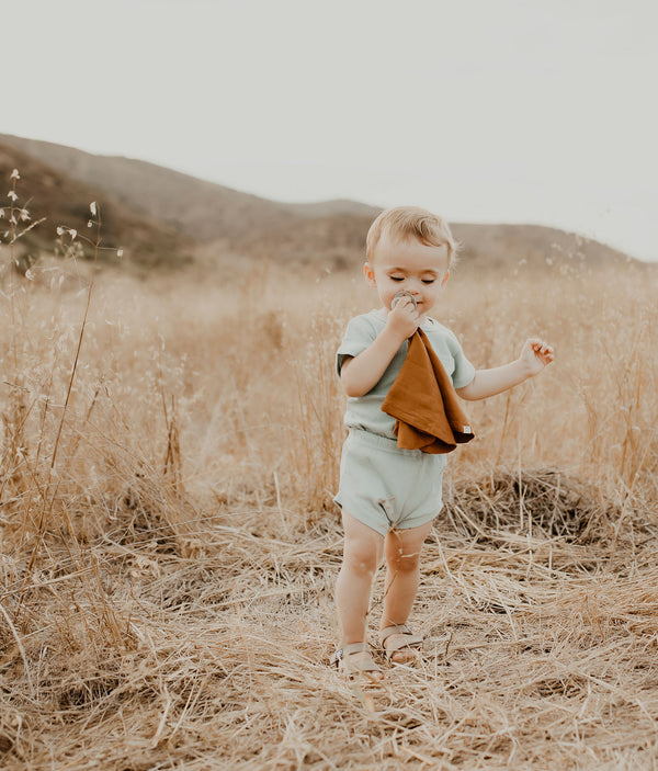 Organic Paci Blanket 3-Pack (Rust, Mustard, Caramel)