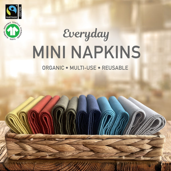 Everyday Mini Napkins 12-Pack (Fiesta)